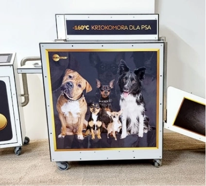 Kriokomora dla psów